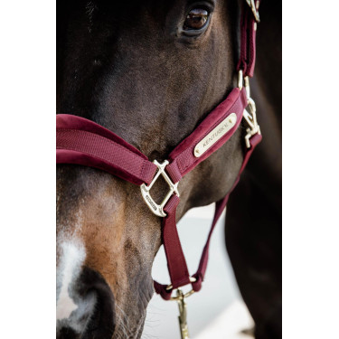 Velvet Halster Kentucky Velvet Halster Kentucky