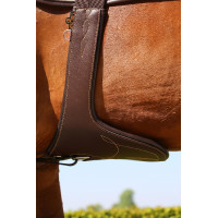 Singelstaartriem Kentucky Bruin