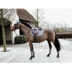 Zadeldek Basic Velvet jumping Kentucky