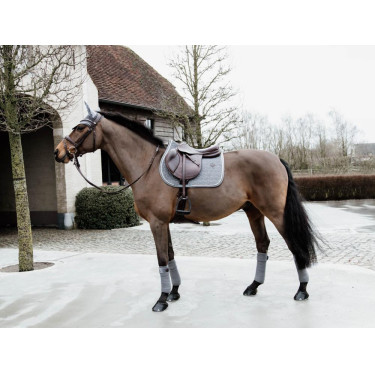 Zadeldek Basic Velvet jumping Kentucky