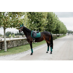 Zadeldek Velvet dressuur Kentucky Zadeldek Velvet dressuur Kentucky