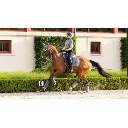 Polo bandages Loire LeMieux Blauwe gaai Polo bandages Loire LeMieux Blauwe gaai