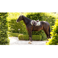 LeMieux Loire Classic Close Contact Square zadeldek Varen