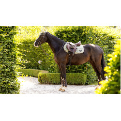 LeMieux Loire Classic Close Contact Square zadeldek