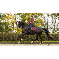 Tapis LeMieux Crystal Suede Dressage Bordeaux