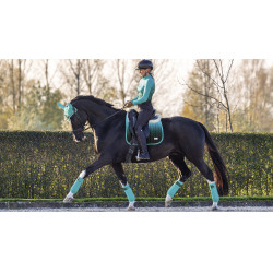 LeMieux Spectrum Dressuur Zadeldek