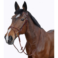 Bridon Lexington Atlanta... Bridon Lexington Atlanta...