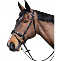 Bridon Lexington Pull Back... Bridon Lexington Pull Back...