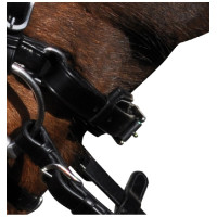 Bridon Lexington Pull Back... Bridon Lexington Pull Back...