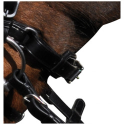 Bridon Lexington Pull Back Boston Bridon Lexington Pull Back Boston