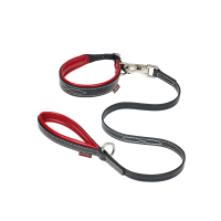 Collier et laisse pour chiot LeMieux Toy Chilli