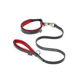 Halsband en riem voor puppy LeMieux Toy