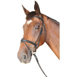 Bridon Cabourg Combiné Privilege Ruitersport Bridon Cabourg Combiné Privilege Ruitersport
