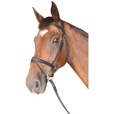 Bridon Cabourg Combiné Privilege Ruitersport Bridon Cabourg Combiné Privilege Ruitersport