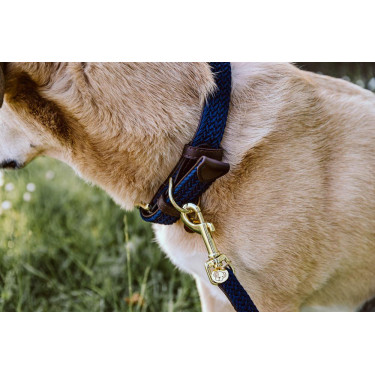 Halsband voor hond Gevlochten Nylon Kentucky Halsband voor hond Gevlochten Nylon Kentucky