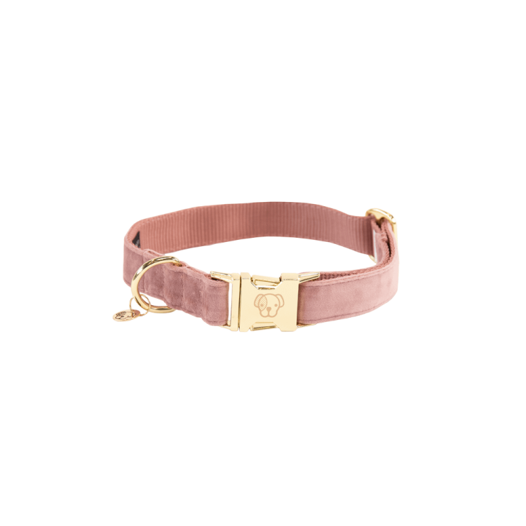 Hondenhalsband Velvet Kentucky Hondenhalsband Velvet Kentucky