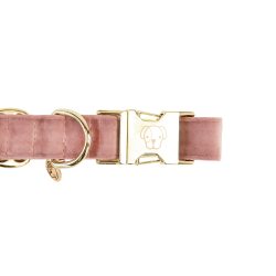 Hondenhalsband Velvet Kentucky Hondenhalsband Velvet Kentucky
