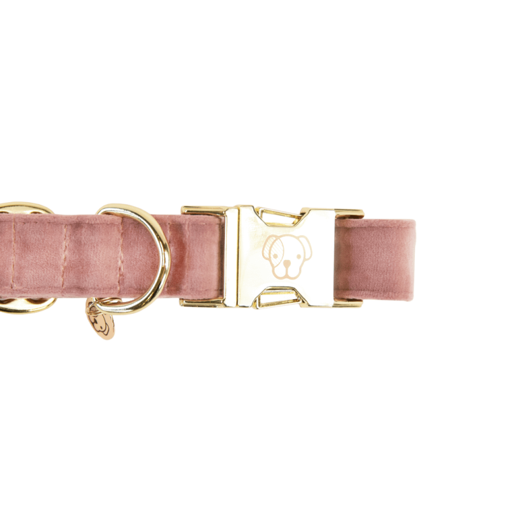 Hondenhalsband Velvet Kentucky Hondenhalsband Velvet Kentucky