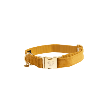 Hondenhalsband Velvet Kentucky Hondenhalsband Velvet Kentucky