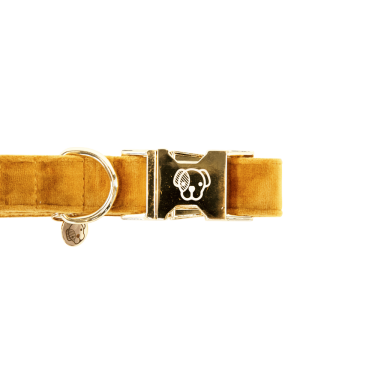 Hondenhalsband Velvet Kentucky Hondenhalsband Velvet Kentucky