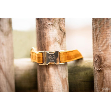 Hondenhalsband Velvet Kentucky Hondenhalsband Velvet Kentucky