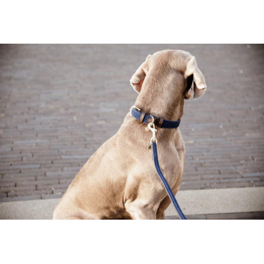 Laisse pour chien Plaited Nylon 120 cm Kentucky Bleu marine