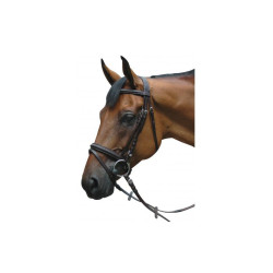 Bridon Pull Back Le Touquet Privilege Equitatie