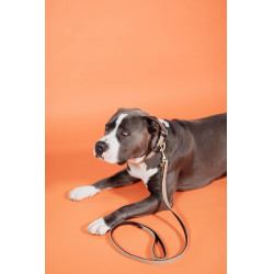 Hondenriem Gevlochten Nylon 120 cm Kentucky