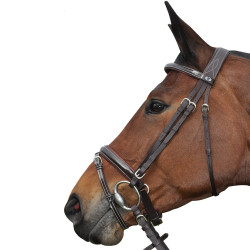 Bridon Pull Back Cannes Privilege Equitatie Bridon Pull Back Cannes Privilege Equitatie
