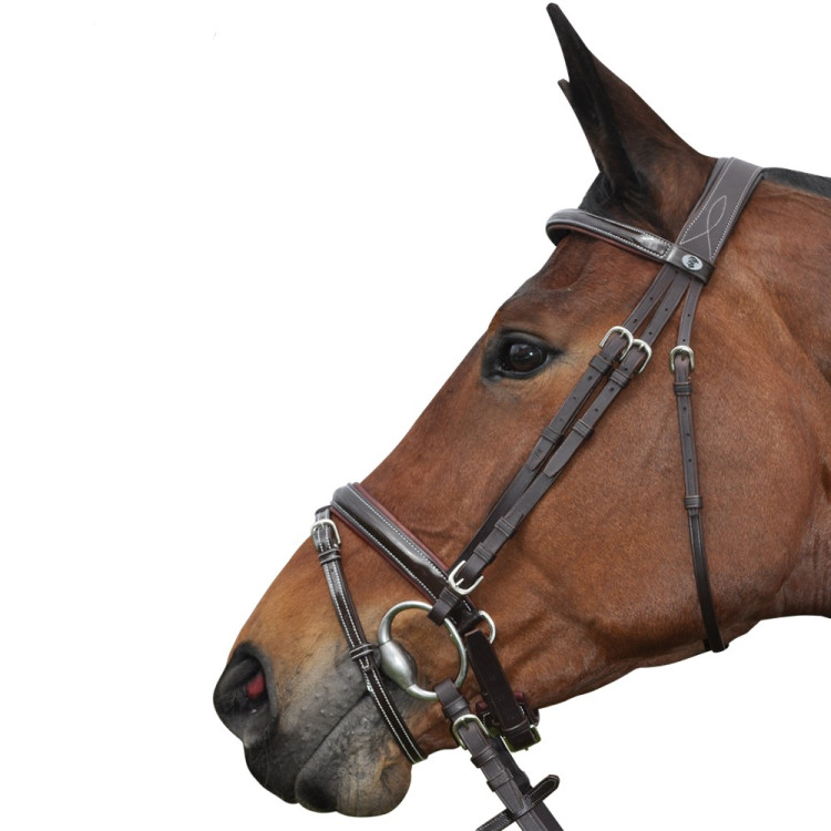 Bridon Pull Back Cannes Privilege Equitatie Bridon Pull Back Cannes Privilege Equitatie