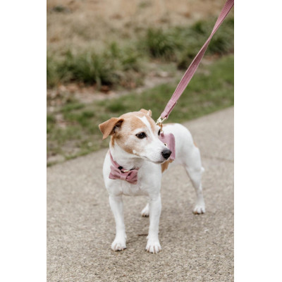 Laisse pour chien Velvet 120 cm Kentucky Vieux rose