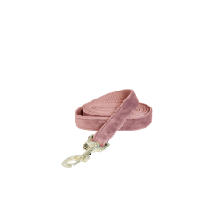Hondenriem Velvet 120 cm Kentucky Hondenriem Velvet 120 cm Kentucky