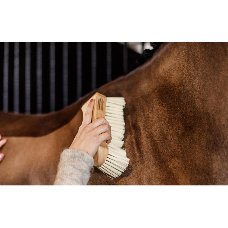 Borstel met zachte haren Kentucky Borstel met zachte haren Kentucky