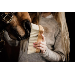 Borstel met zachte haren Kentucky Borstel met zachte haren Kentucky