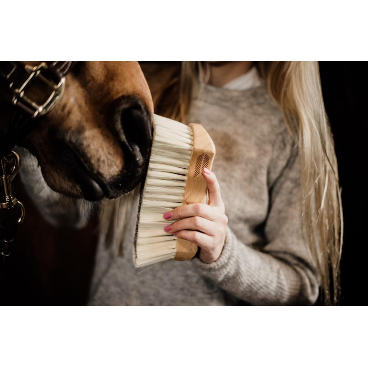 Borstel met zachte haren Kentucky Borstel met zachte haren Kentucky