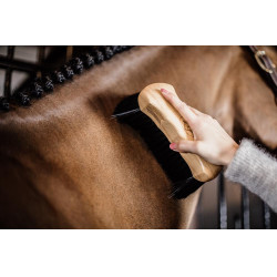 Harde borstel Kentucky Harde borstel Kentucky
