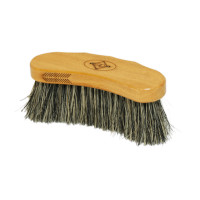 Kentucky harde stop Bruin