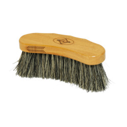 Kentucky harde stop Bruin