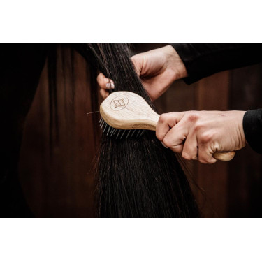 Kentucky borstel met haren Kentucky borstel met haren