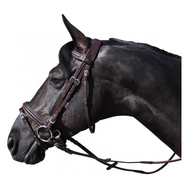 Bridon Hickstead Vlaggen & Beker Bridon Hickstead Vlaggen & Beker