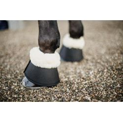 Schapenbellen Solimbra Kentucky Schapenbellen Solimbra Kentucky