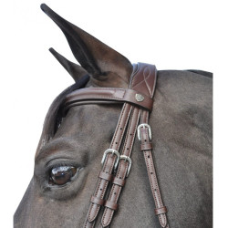 Bridon Hickstead Vlaggen & Beker Bridon Hickstead Vlaggen & Beker