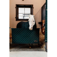 Boxdeur Kentucky Zwart Boxdeur Kentucky Zwart