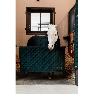 Boxdeur Kentucky Donkergroen Boxdeur Kentucky Donkergroen