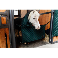 Boxdeur Kentucky Zwart Boxdeur Kentucky Zwart