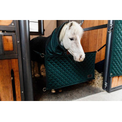 Boxdeur Kentucky Donkergroen Boxdeur Kentucky Donkergroen