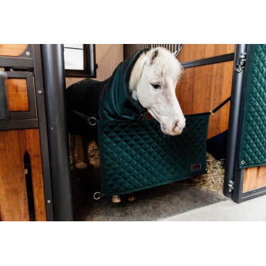 Boxdeur Kentucky Donkergroen Boxdeur Kentucky Donkergroen