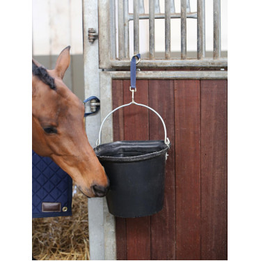 Nylon Bevestigingsriem Karabijnhaak En Ring Kentucky Nylon Bevestigingsriem Karabijnhaak En Ring Kentucky