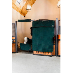 Hoofdbescherming Kentucky Donkergroen Hoofdbescherming Kentucky Donkergroen