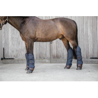 Transportbeschermers Kentucky Marineblauw